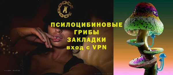 прущая мука Осташков