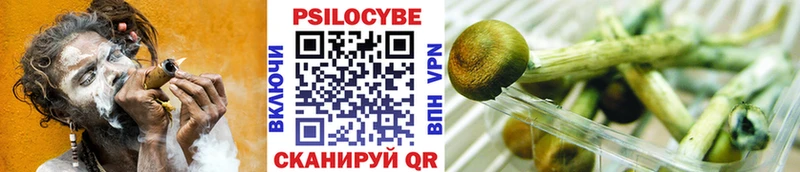 Галлюциногенные грибы ЛСД  где купить наркоту  Шацк 