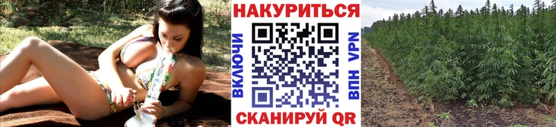 даркнет телеграм  Шацк  Канабис индика 